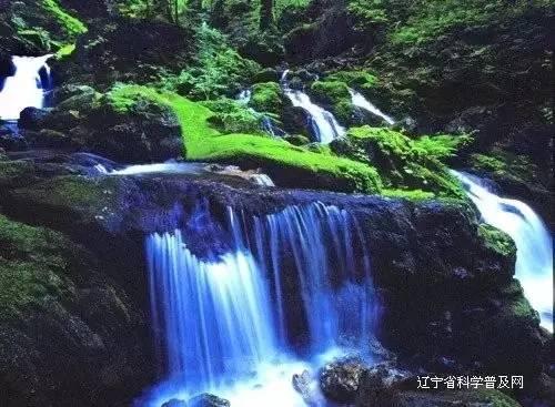 喝酸奶减肥吗？游戏画面