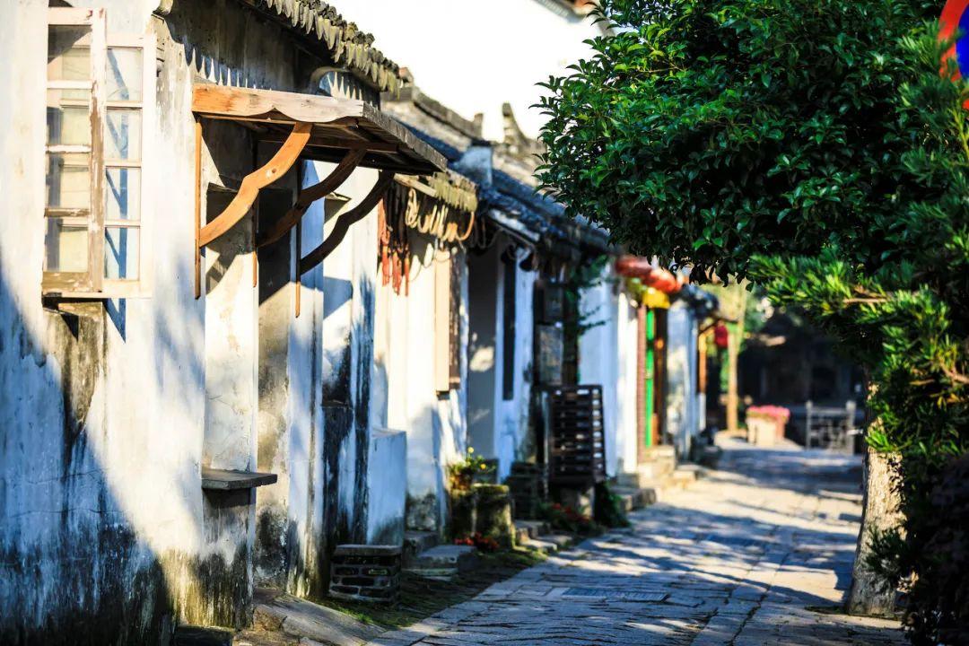 广东拿下全国首张保健食品蛋白粉备案凭证